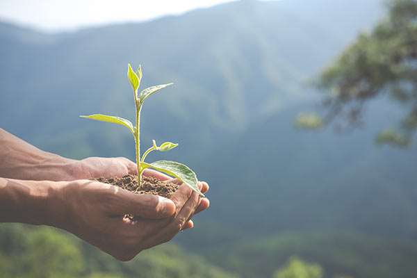 Productores, Distribuidores y Marcas comprometidas con la sostenibilidad y respetuosas con el medio ambiente